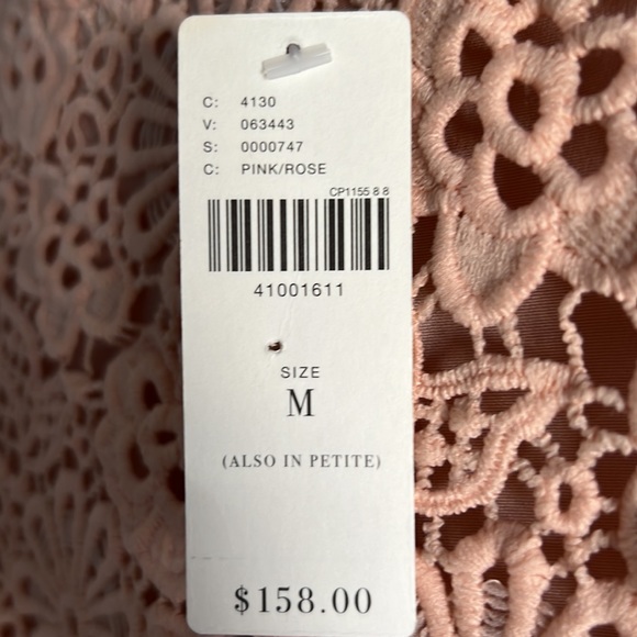 NWT Moulinette Soeurs Anthropologie Adanne Blush Lace Pleat Dress - Picture 7 of 7